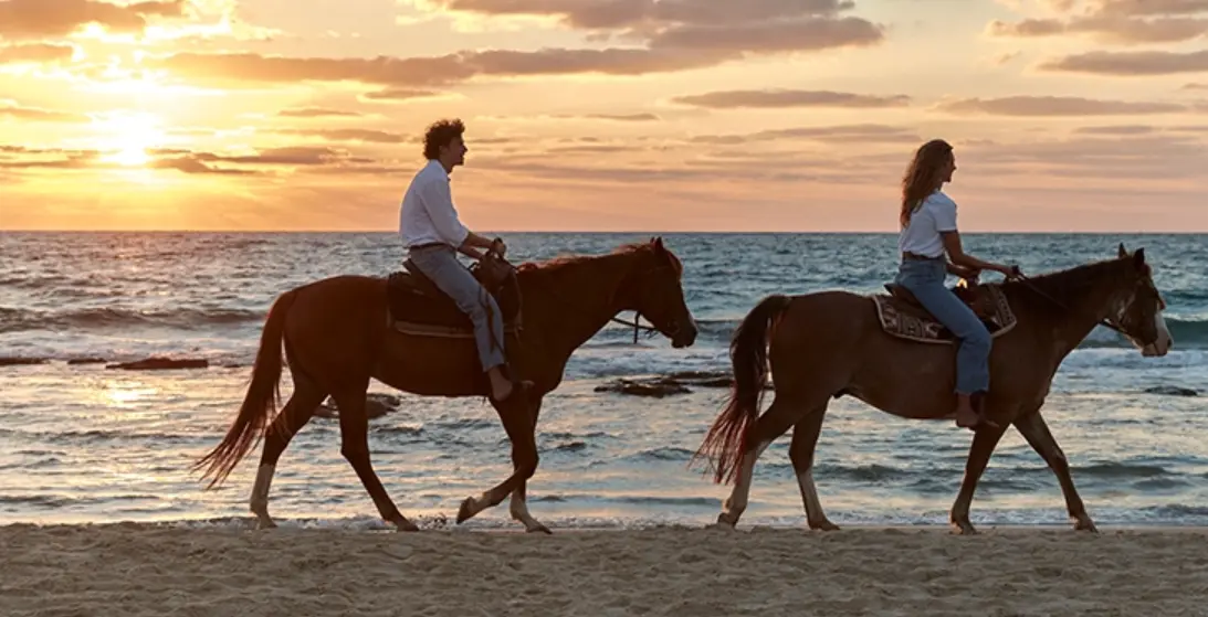 Outdoor horse riding activity suitable for sunny weather for couples and families